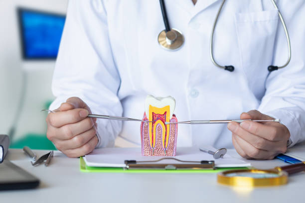 Best Urgent Care for Lost Fillings or Crowns in Westwood, NJ